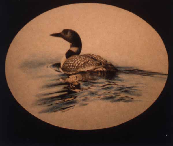 Loon