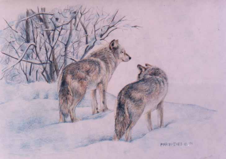 Wolf Buddies