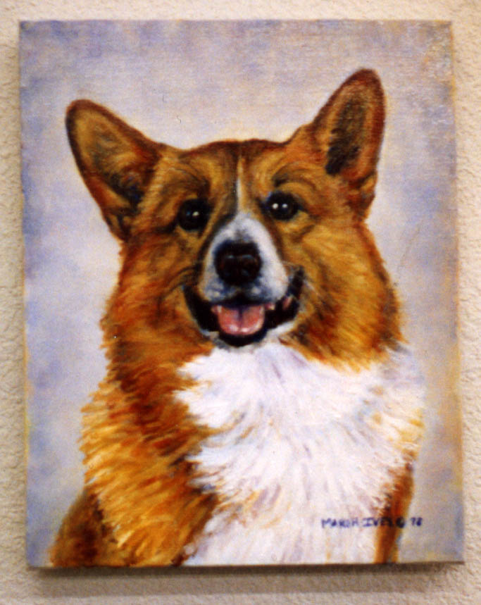 Hooper the Corgi