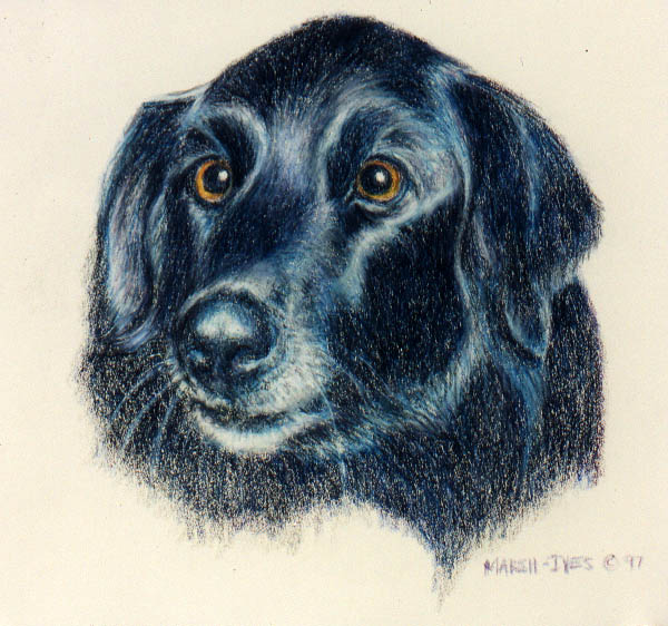 Bear the Dog