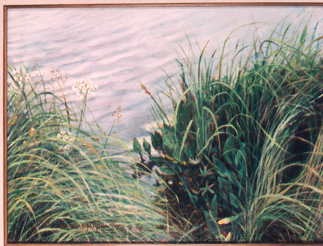 Lake Edge