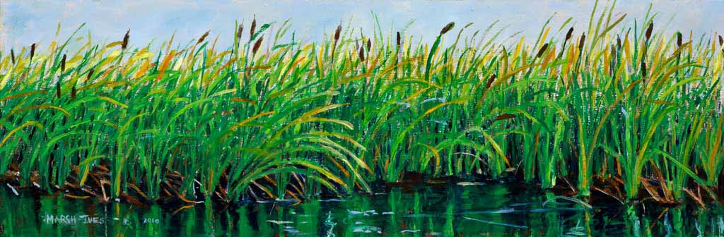 Cattails