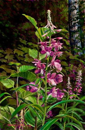 Fireweed Filigree