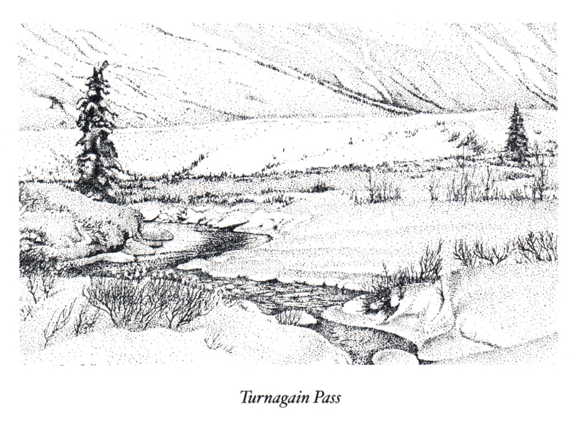 Turnagain Pass