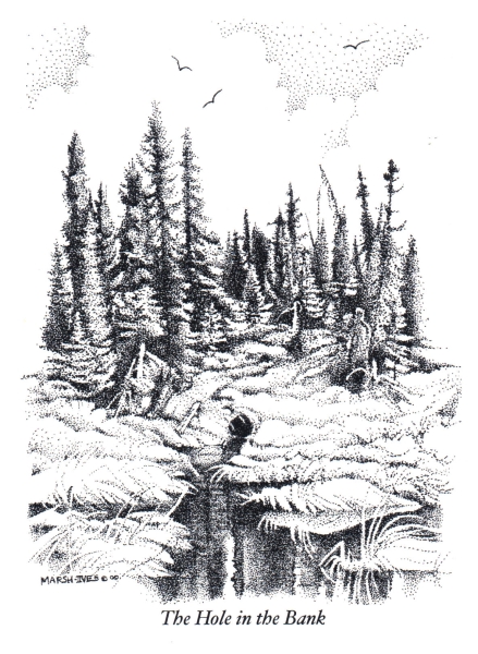 The Hole in the Bank