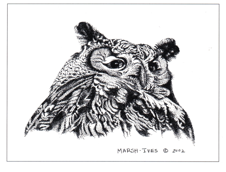 Owl-Who's There?