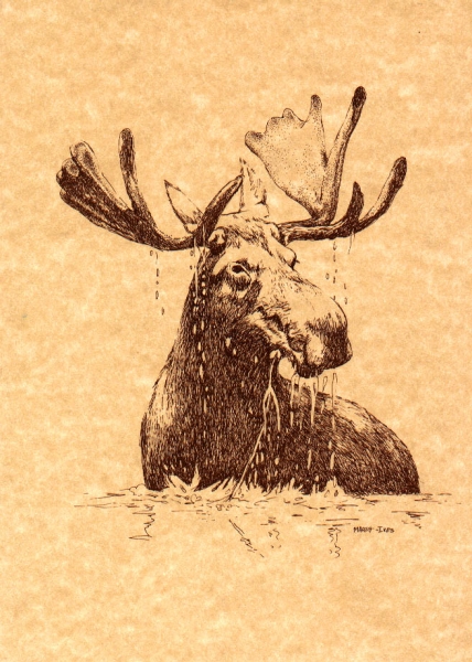 Moose