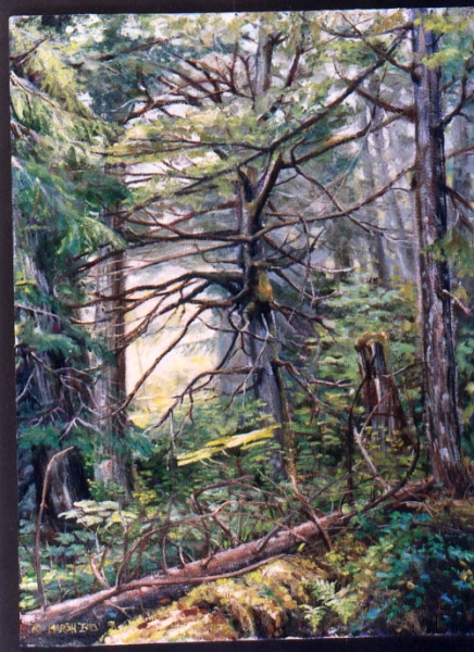 The Emerald Forest