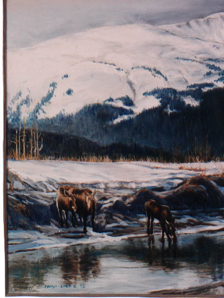 What you usually see with moose; they blend in