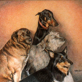 Artwork of pet portraits with 4 different dog breeds