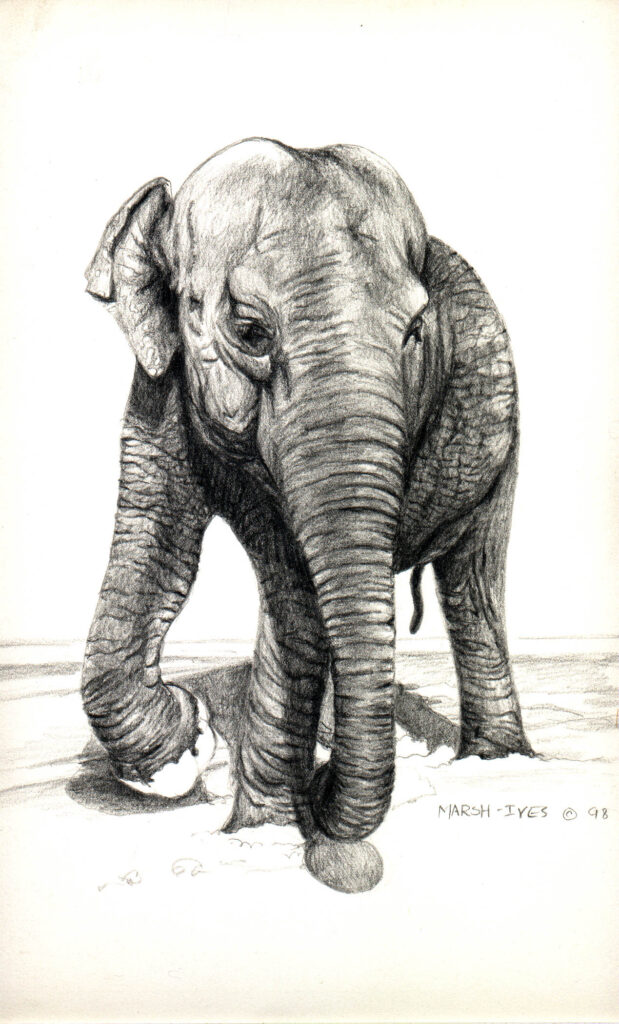 Annabelle in the Snow