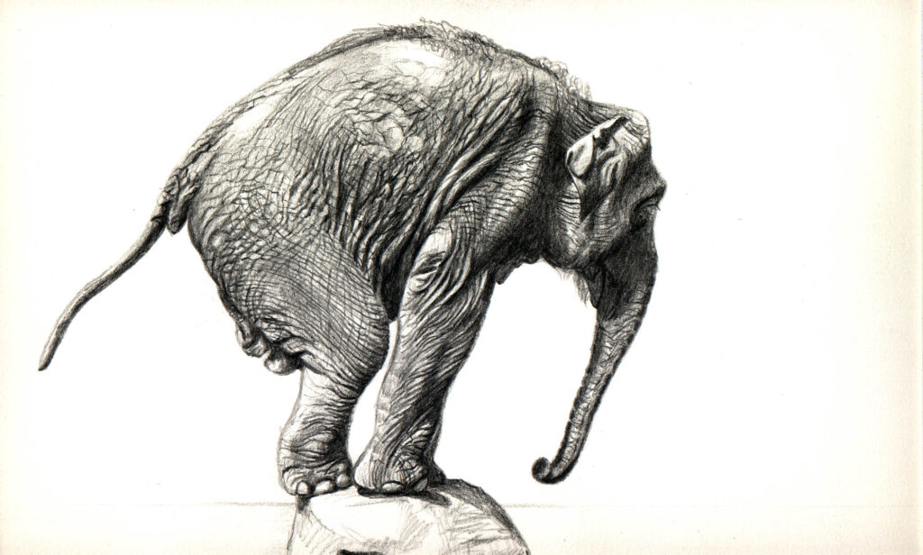 Annabelle balancing on a rock