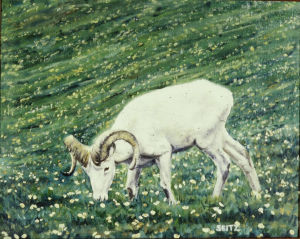 From a photo by Skip R4ichards