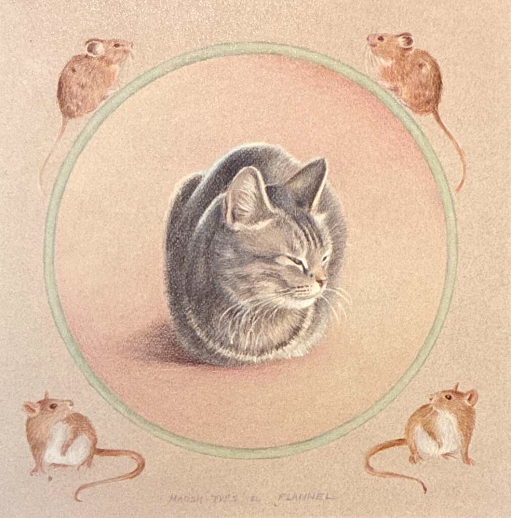 my beloved cat Flannel