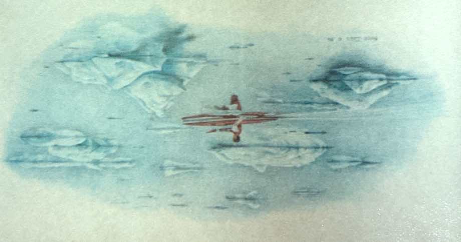 In The Ring of Silence