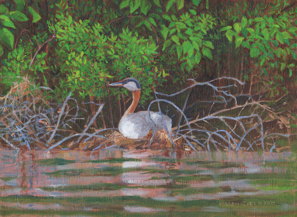 from a kayak on Lake Seymour