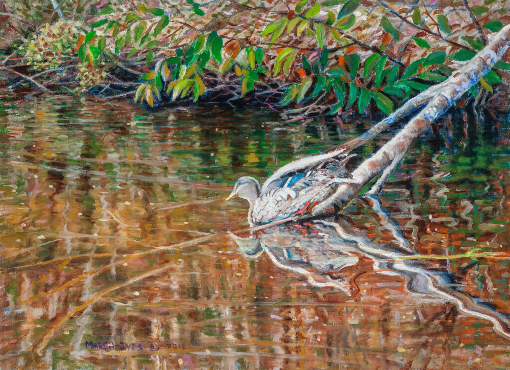 from a kayak on Lake Seymour