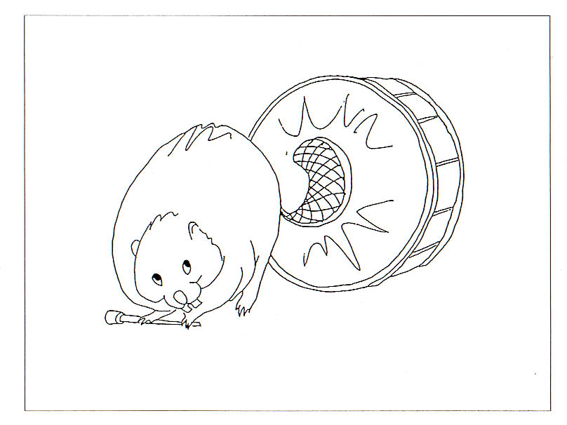 Wild Things Beaver with Bass Drum