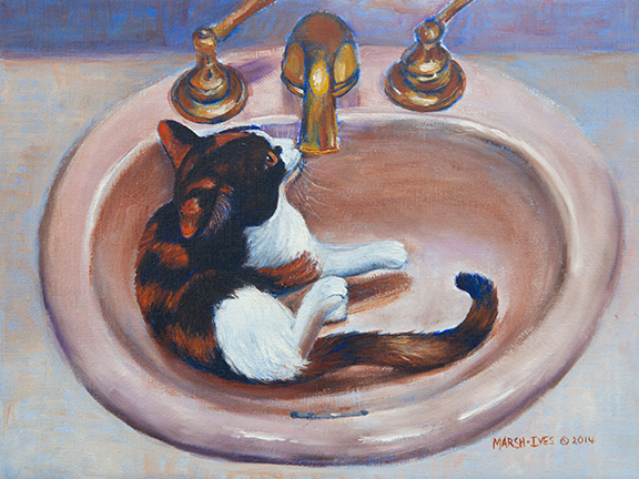 Daisy as a kitten in the sink