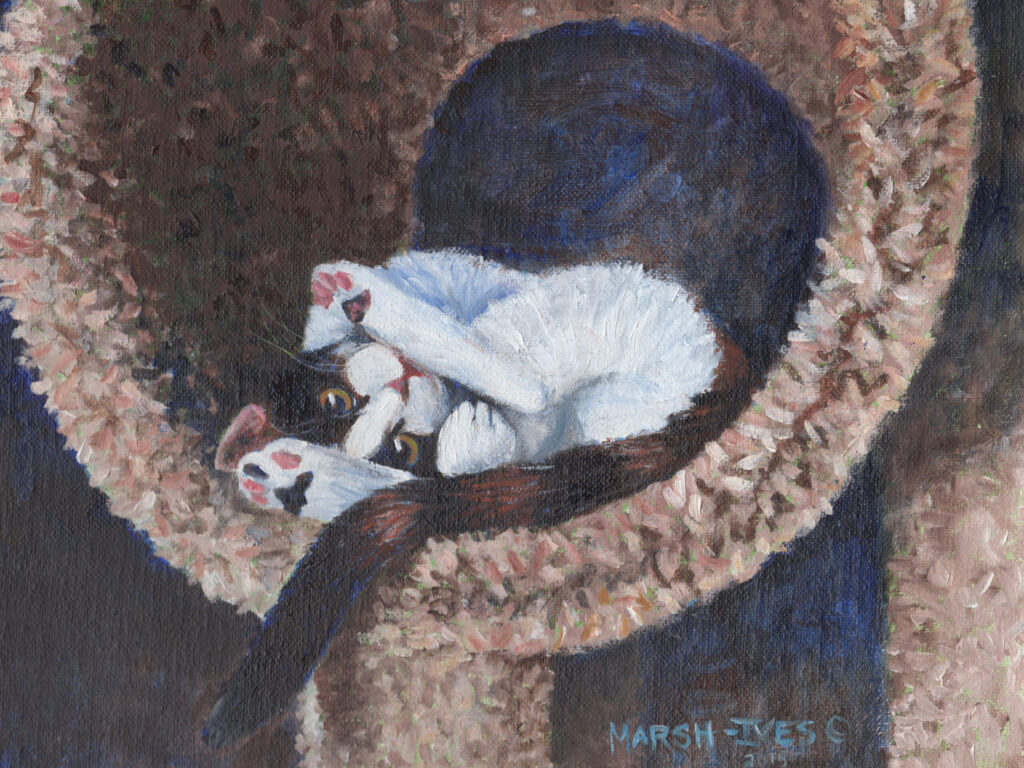 Daisy in the Tunnel 1