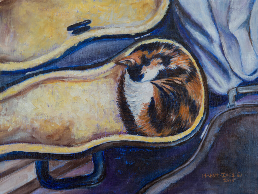 Daisy snoozing in the 1/4 size violin case